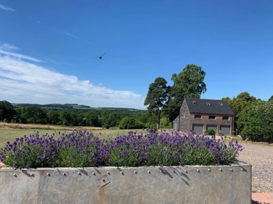 Apartamento The Coach House Alderbury Exterior foto